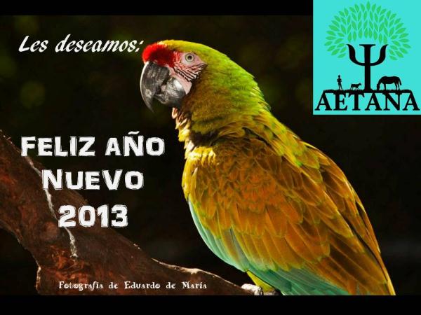 feliz_ao_nuevo.jpg